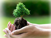 산림기능사 자격취득과정(실기)